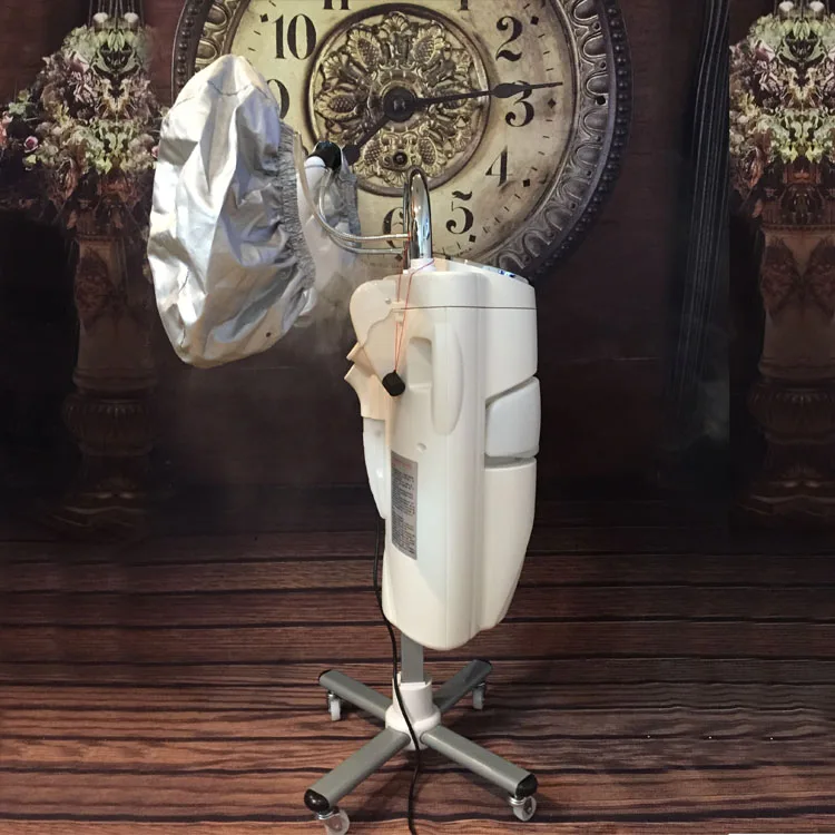 220V 700W Hairdressing Equipment Hydro Mist Hair Steamer Hair Care Hair Steamer