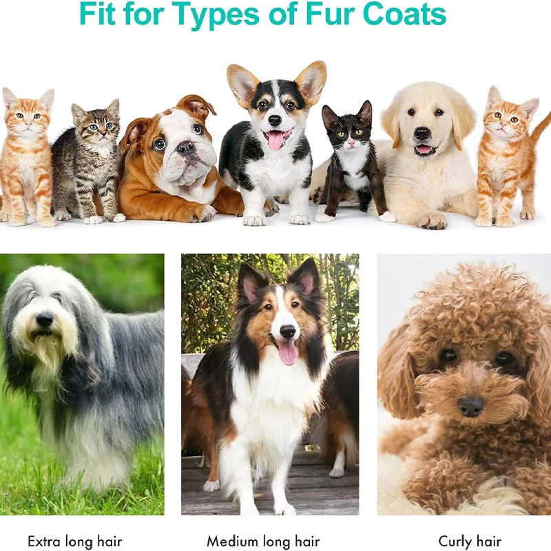 Best Selling 5 in 1 Multipurpose Pet Grooming Vacuum Dog/Cat Grooming Brush Comb and Clean Pets Hair Pet Hair Remover