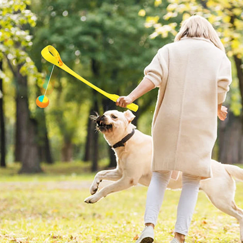 Hot Selling Wholesale Tiktok Training Dog Walking Non-Automatic Outdoor Toy Throwing Cue Ball