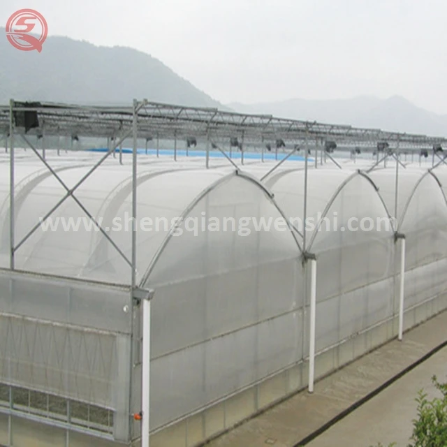  Китайские поставщики оцинкованная сталь Aquaponics пластиковый Тепличный тент для