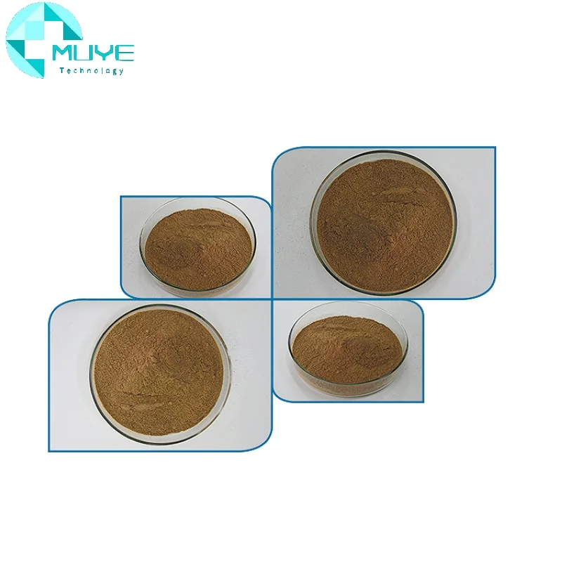 Wholesale Bulk 100% natural Pure 2% 10% Ajuga Turkestanica Extract Powder Turkesterone