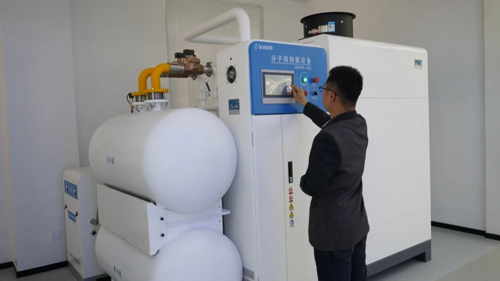 China Customized Medical Oxygen O2 Plant Electric Power Source Steel Material CE Certified