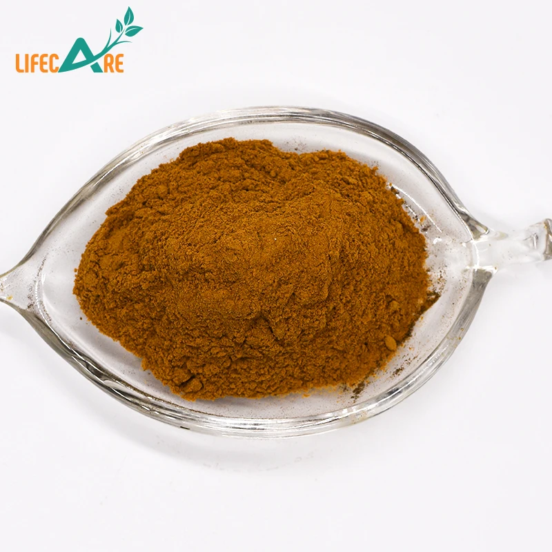 Factory Supply Raw Powder Buckwheat Powder For Meal Replacement In Bulk