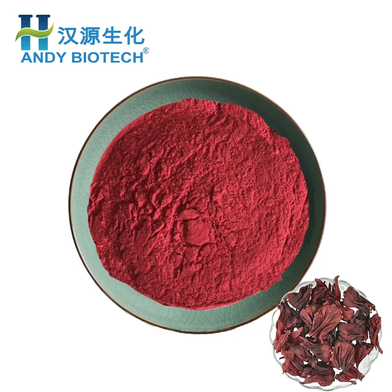 Factory supply Roselle extract Hibiscus roselle flower powder