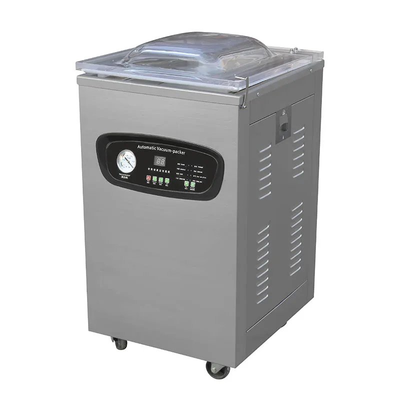 DZ-600/2E small food potato tomato vegetable nitrogen vacuum packing machine
