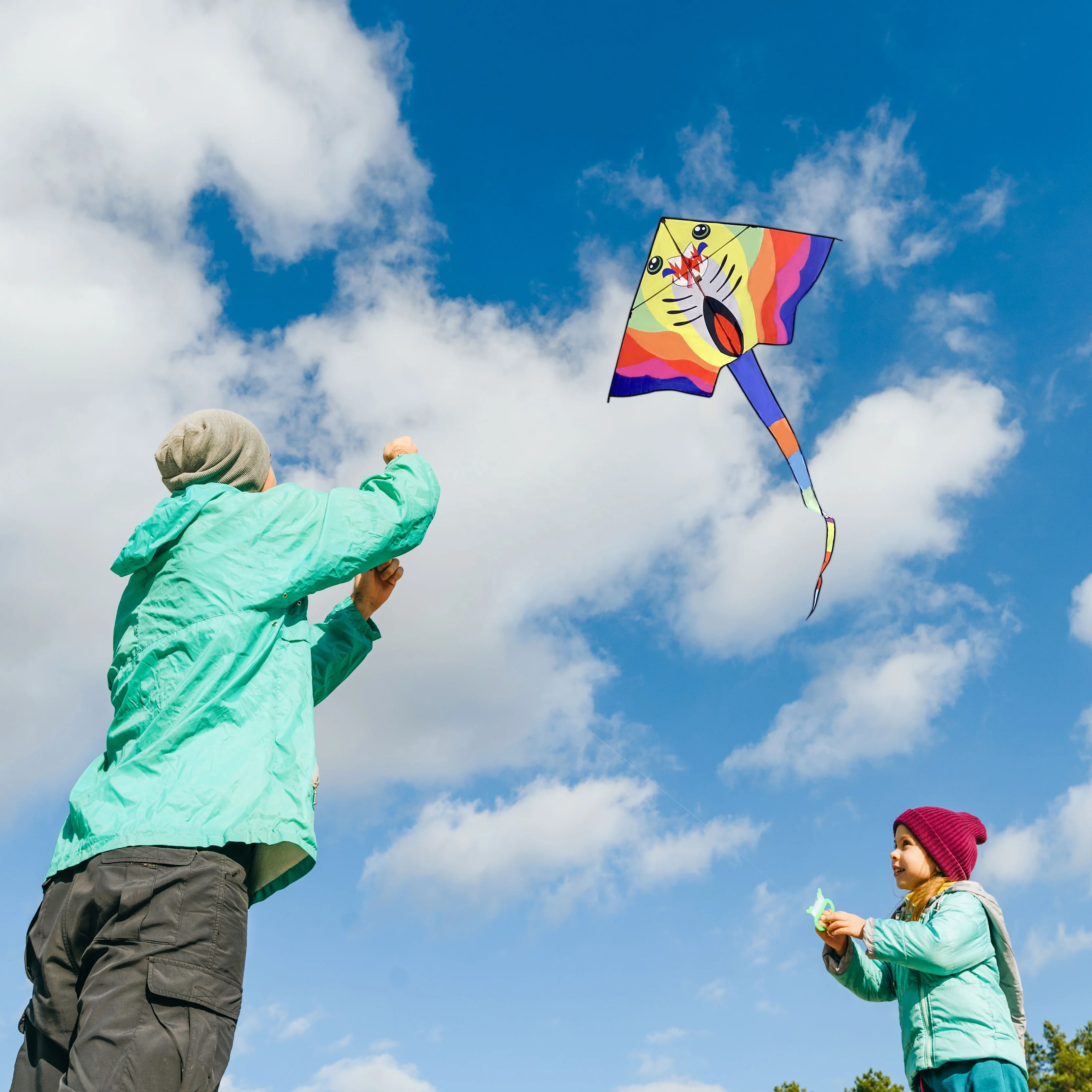 Size can be customized kites for adults flying kite Polyester fish kites