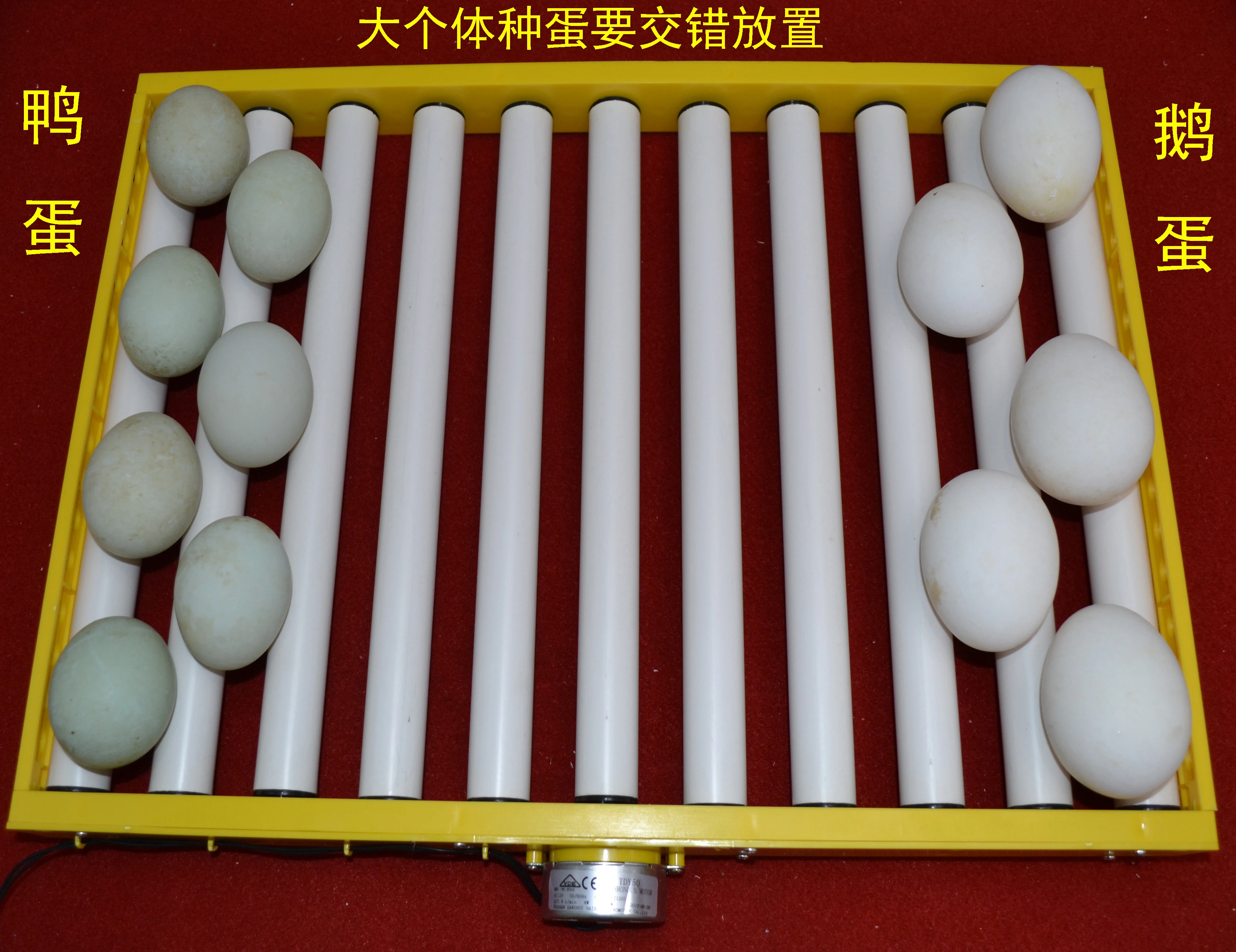 300 яиц двойная мощность 12 В постоянного тока автоматический инкубатор для