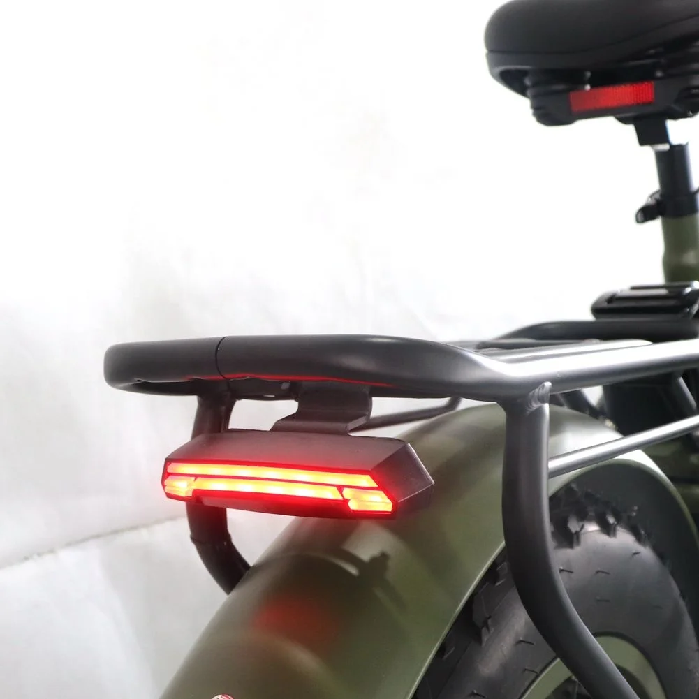  Высококачественный электрический велосипед RJ EBIKE 20 дюймов 1000 Вт складной с толстыми
