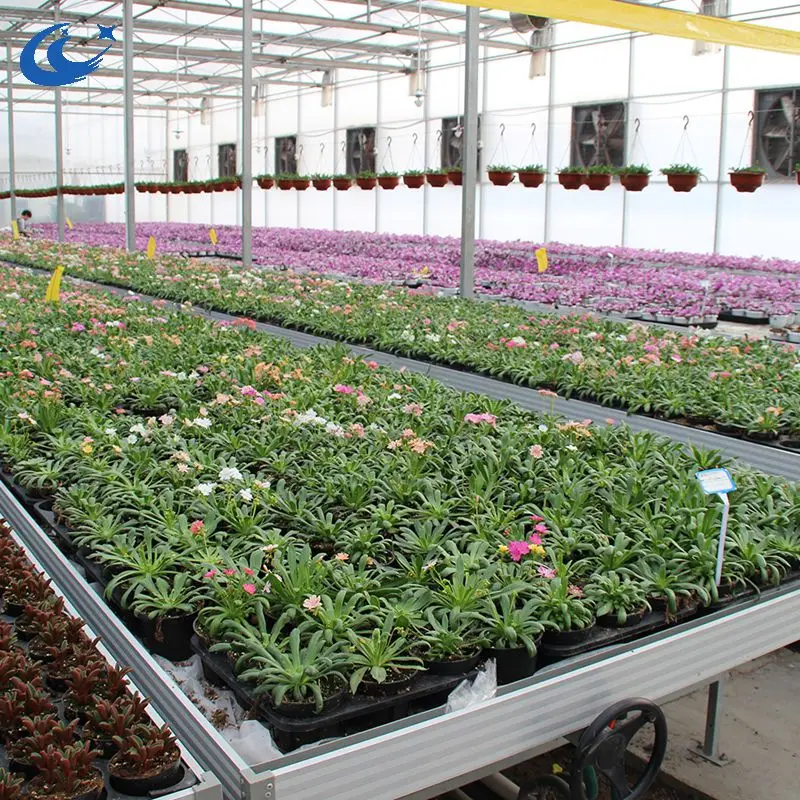 ABS Ebb and Flow Trays Hydroponic Flood Rolling Benches