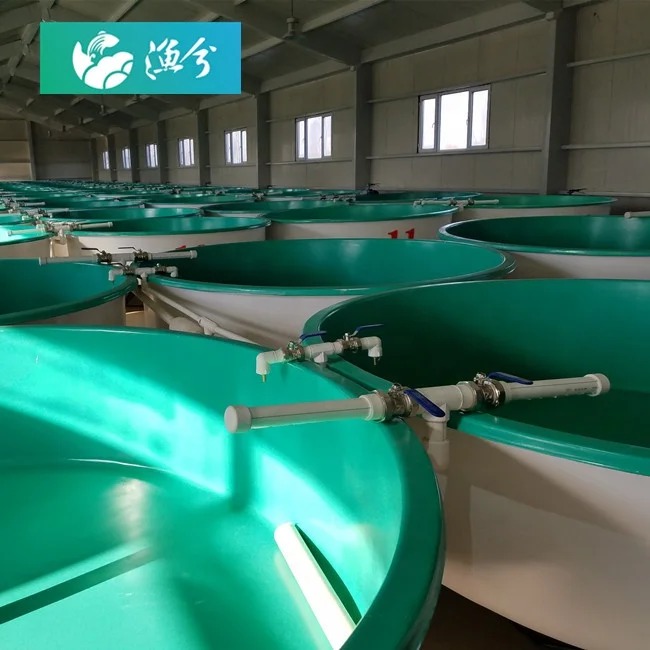 Indoor economy circulating water environment-friendly aquaculture system high-density shrimp system