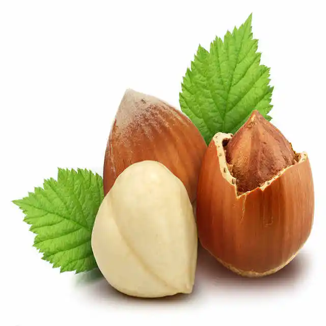 Natural Taste Quality Blanched Hazelnut/Hazel Nut at Low Price