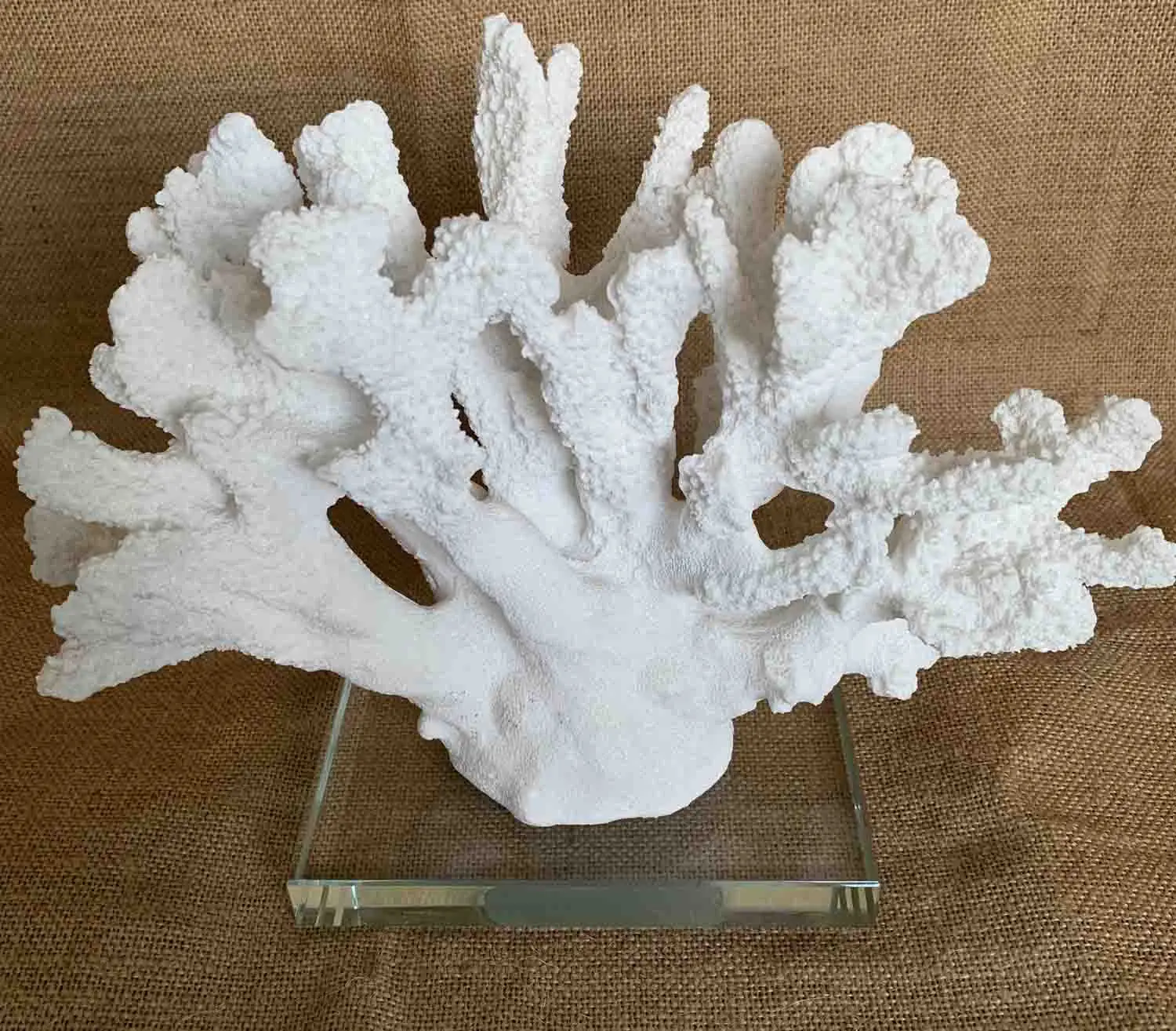 Cream resin Coral Decoration/Wedding Center Beach Coral resin sculpture can be customized
