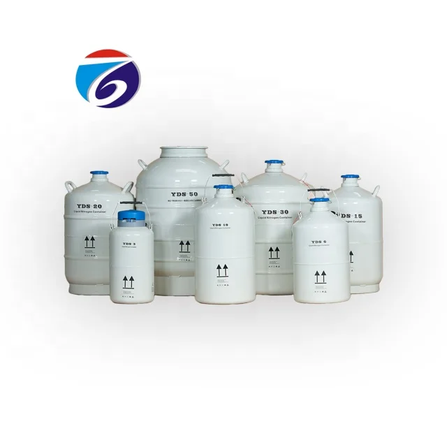 Made in China One Piece Delivery Portable 10L Container for Liquid Nitrogen Price