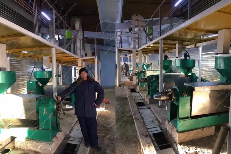 5-50TD Complete sunflower groundnut soybean vegetable oil production processing press machine plant