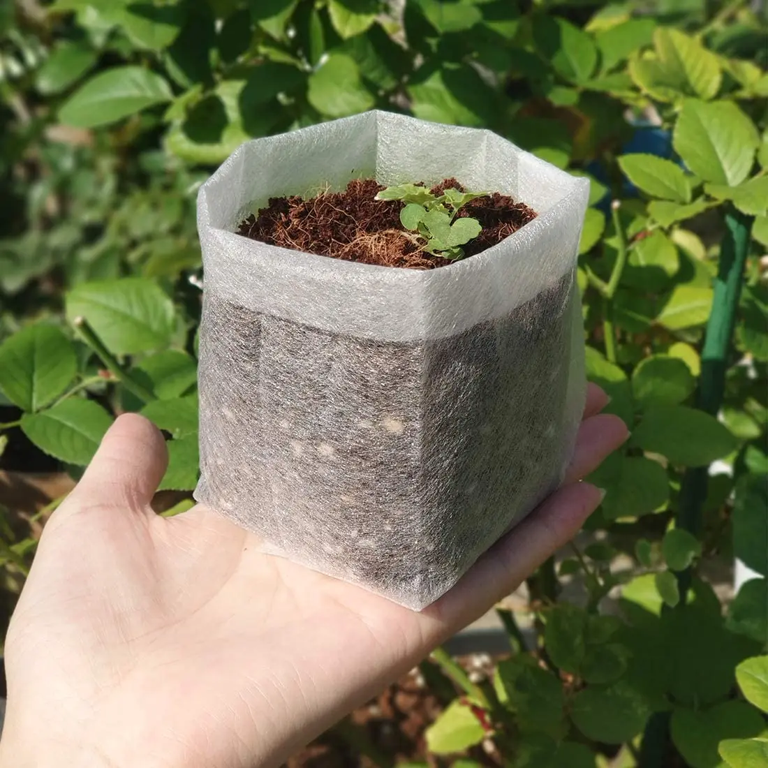 
Biodegradable Non-Woven Nursery Bags Plants Seed Starter bags 