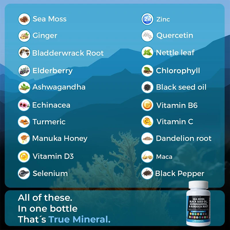 Stock WXW  high quality organic black seed oil capsules black seed oil honey capsules sea moss black seed oil capsules