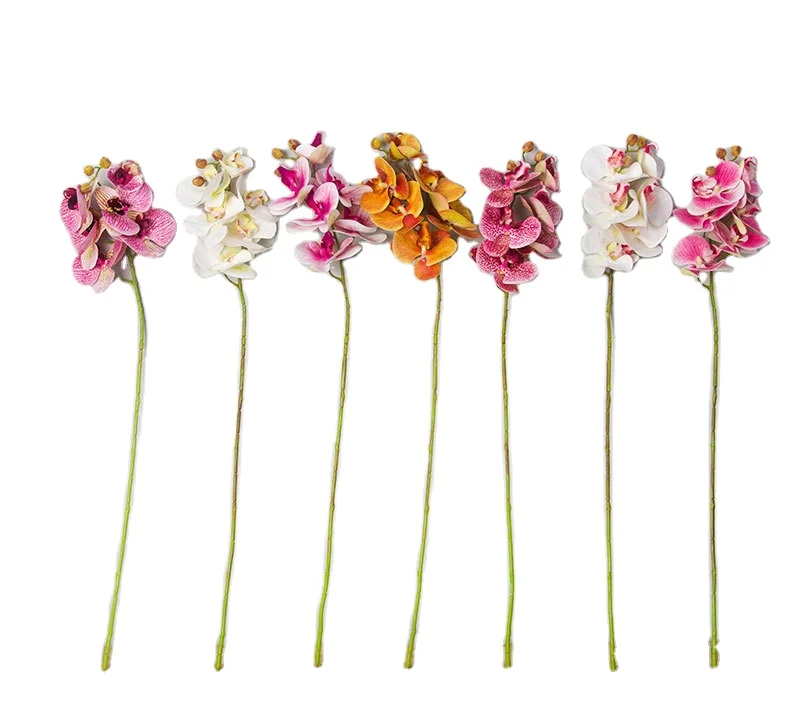 hot Wedding Holiday Decoration Top Grade Long Stem Real Touch Dried Flowers Artificial Butterfly Orchid