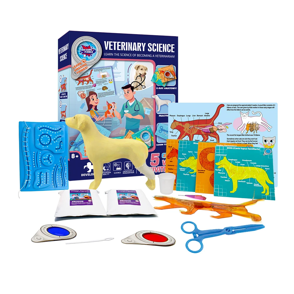 STEAM Science l Toys Teaching Tools Veterinary Science Kit for kids