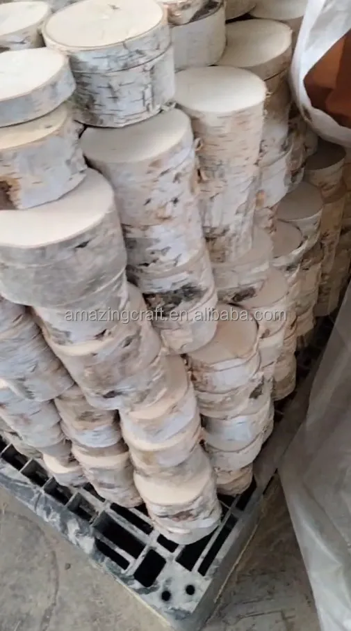 Wooden Hedgehog Guinea Pig House Outdoor Shelter Outside Habitat House Natural Wood Log Hotel OEM