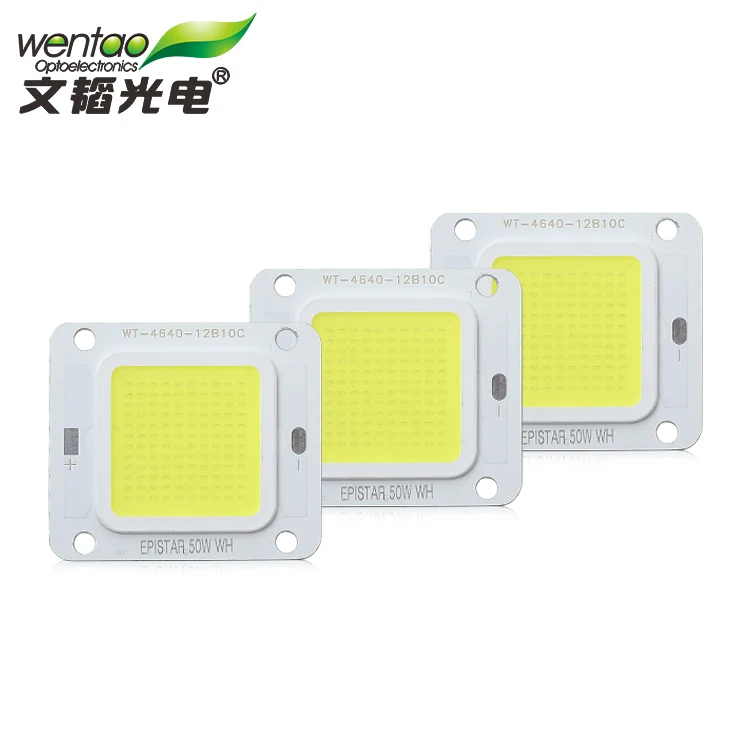Bridgelux 1530 Chip High Product 50W 60W Smd Led Light For Outdoor landscape lighting