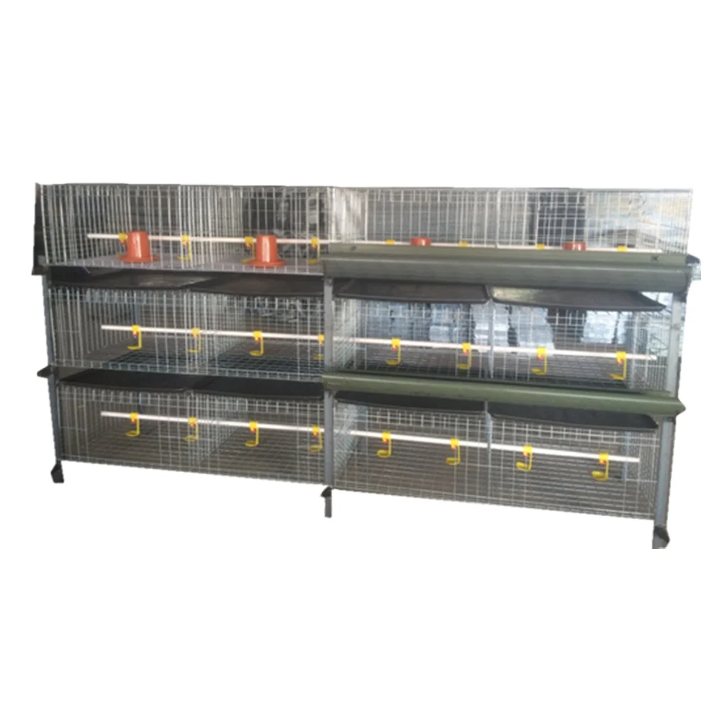 ALL kinds of poultry cages for sell such as chicken cage/rabbit cage/quail cage