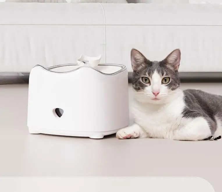 pet drink water dispenser fountain 2024 New arrival hot sale quiet Easy clean double barrel cat water fountain