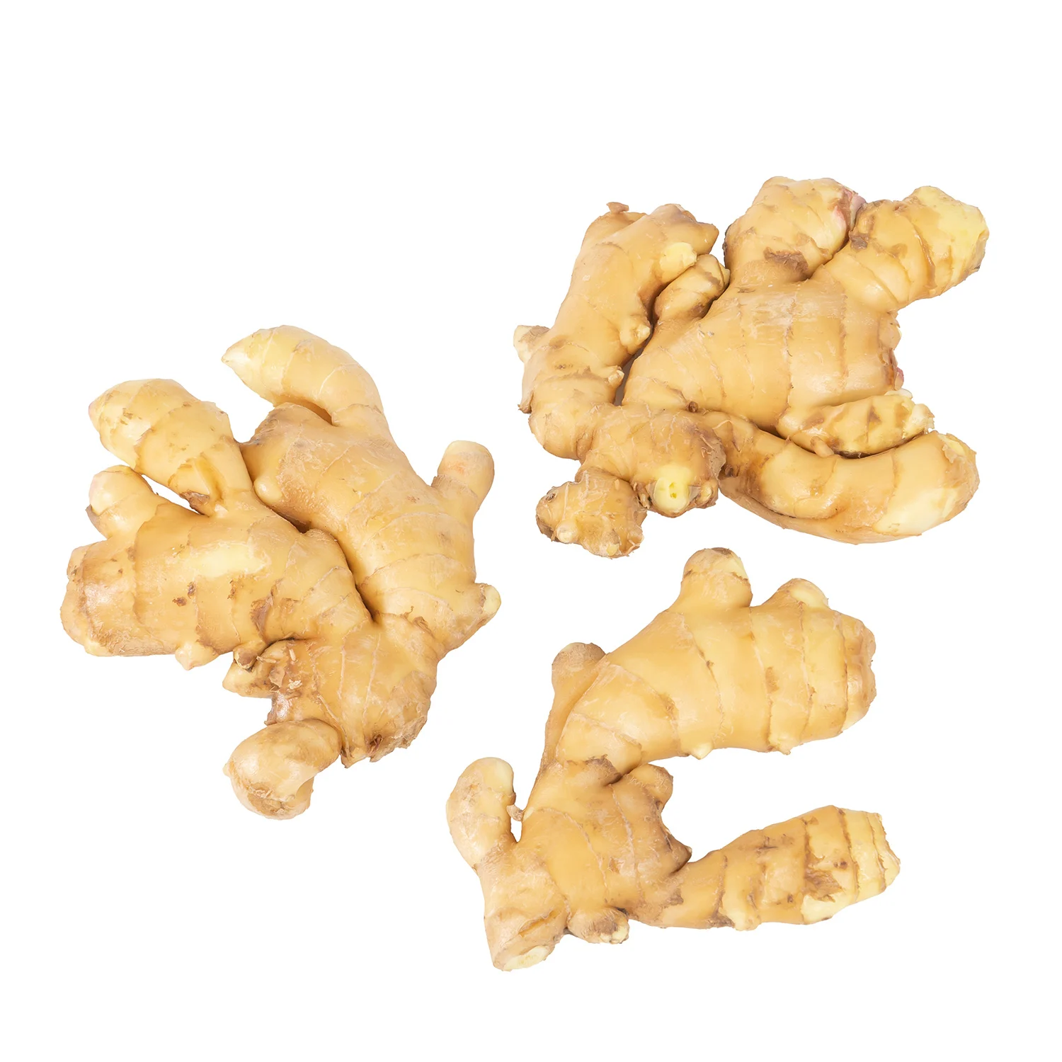  Fresh Bulk Organic Ginger sale in