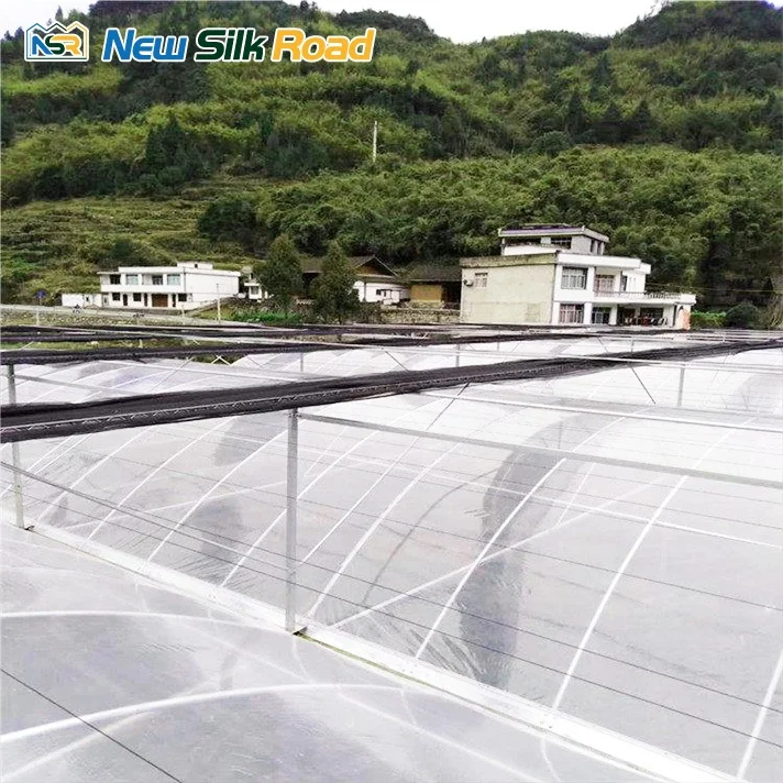 NSR Greenhouse Multi-Span Economical Plastic ac Greenhouse For Sale
