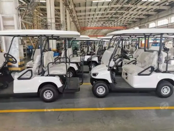 
Certification New road legal electric golf cart farm utility electric vehicle with rear seat 