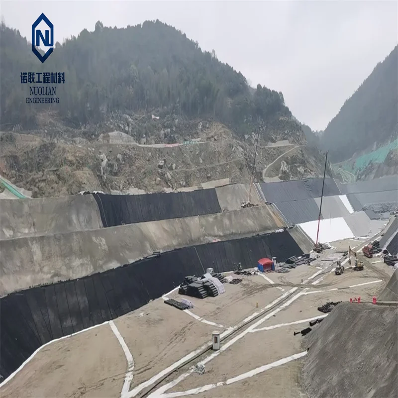 China factory Price 0.5mm 1mm 1.5mm 2mm hdpe geo membrane geomembrane dam fish farm tank pond liner