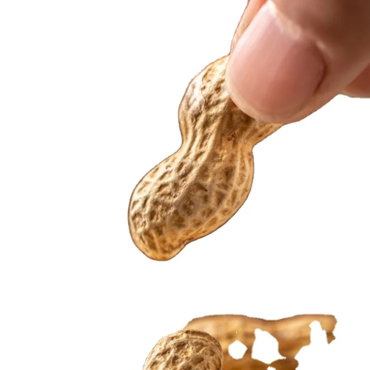 
 Производитель арахиса из Китая  