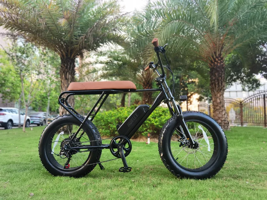 electric city bike_1.jpg