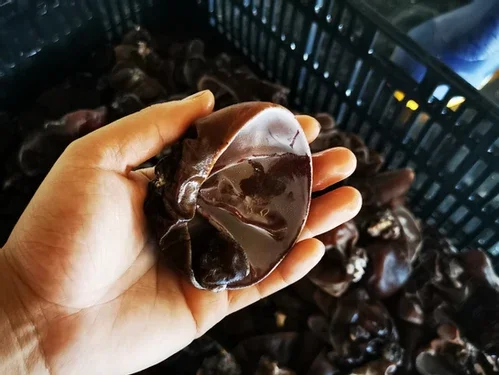  Японские производители органических продуктов питания гриб черный
