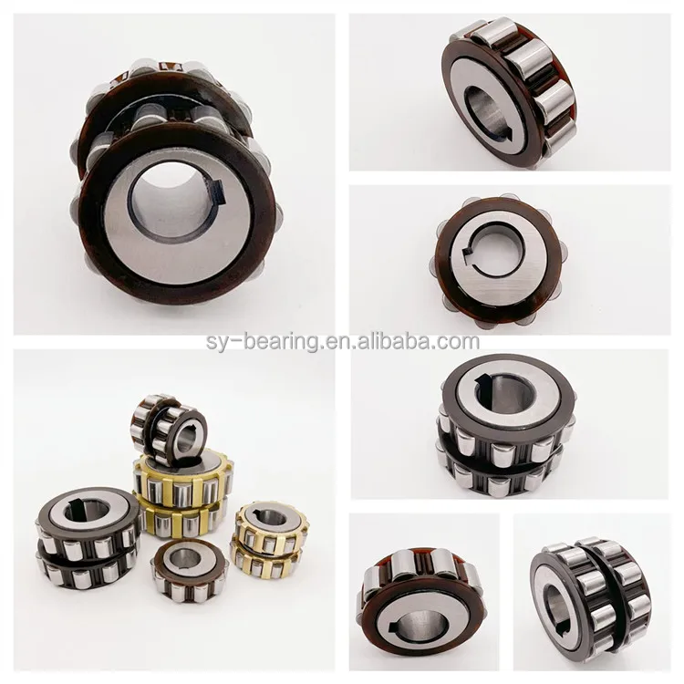 Eccentric Bearing (14)