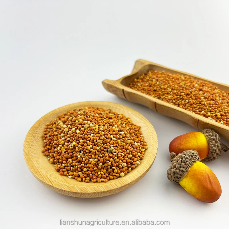 Factory supply  high purity  small red millet red millet seed