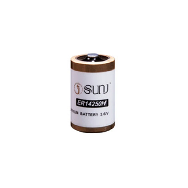 Large Capacity 4000mAh 3.6V D Size  Non-Rechargeable Lithium Battery Er14250H For IC Card Gas Meter