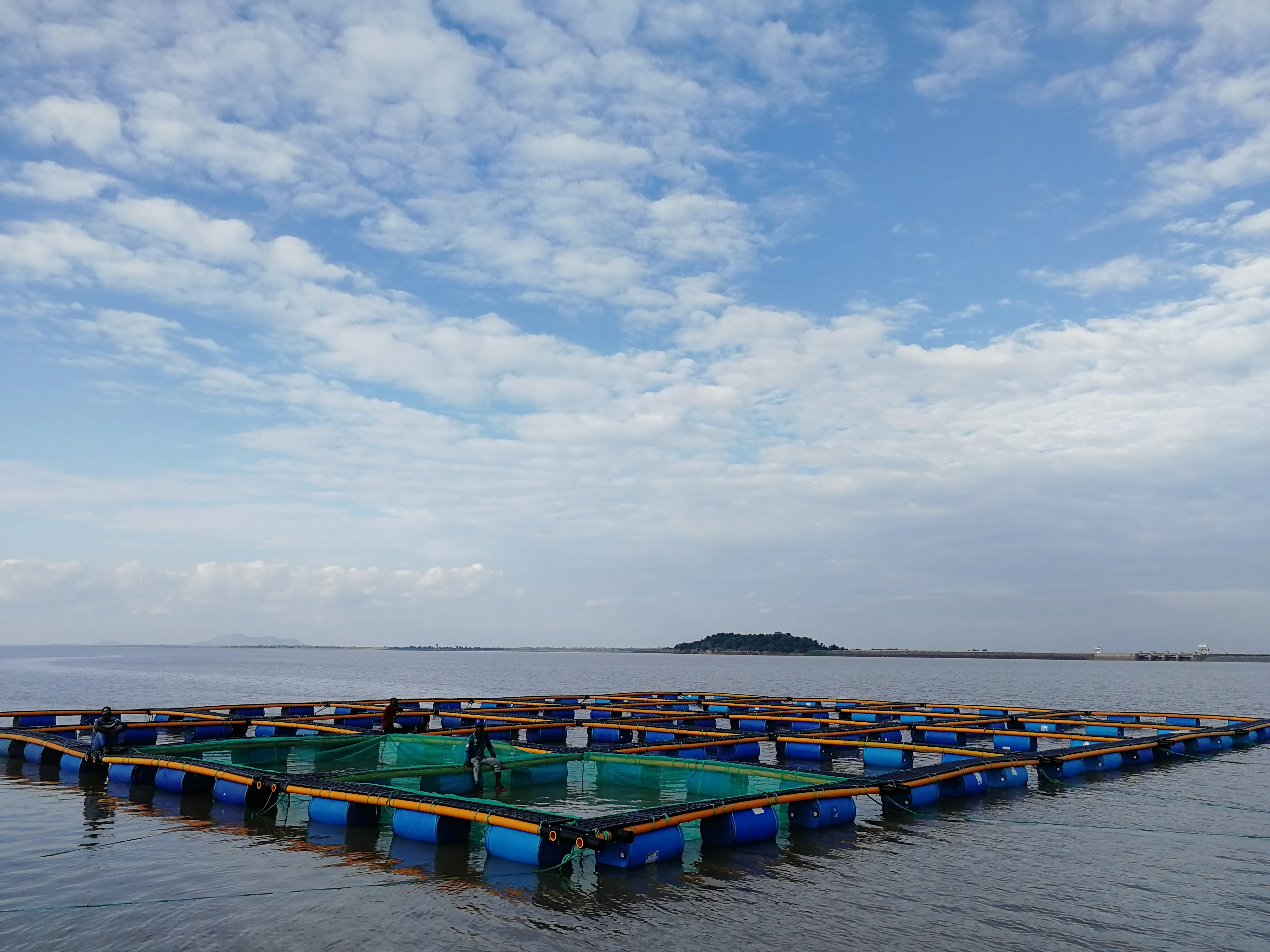 2019 HDPE плавающая клетка для рыбы осёрционной
