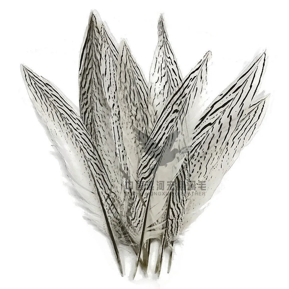  25-30cm silver pheasant tail
