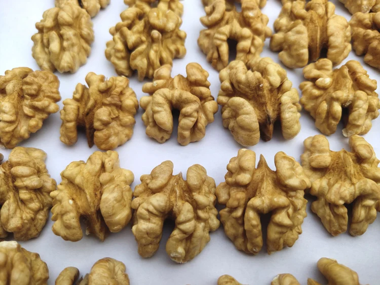 Factory price  2022 new crop xinjiang Xiner Walnut kernels