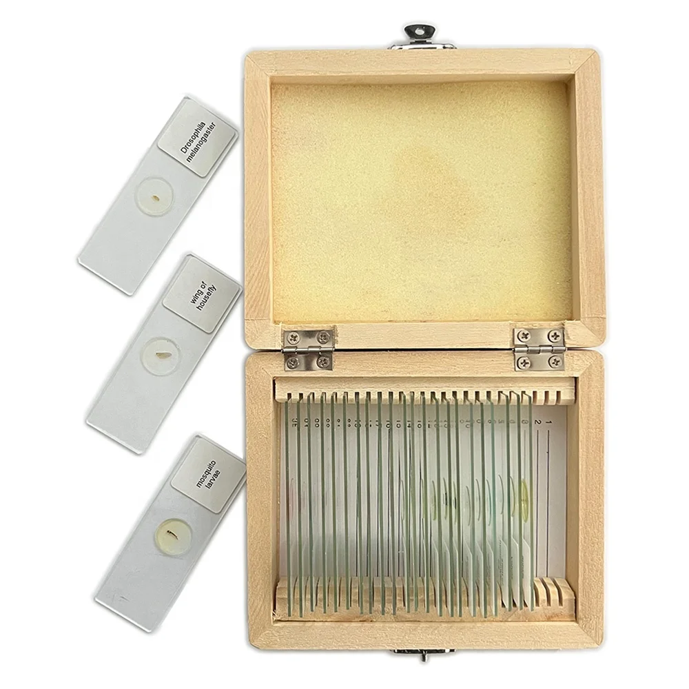 NERS Clear Specimen Mounted 25 Pieces Microscope Examination Prepared Slide Set