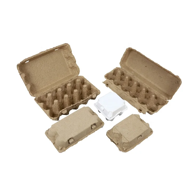 Exported To Africa Recycled Paper Pulp Molding Machine Making Egg Tray Egg Carton Egg Box For Shipping Boxes