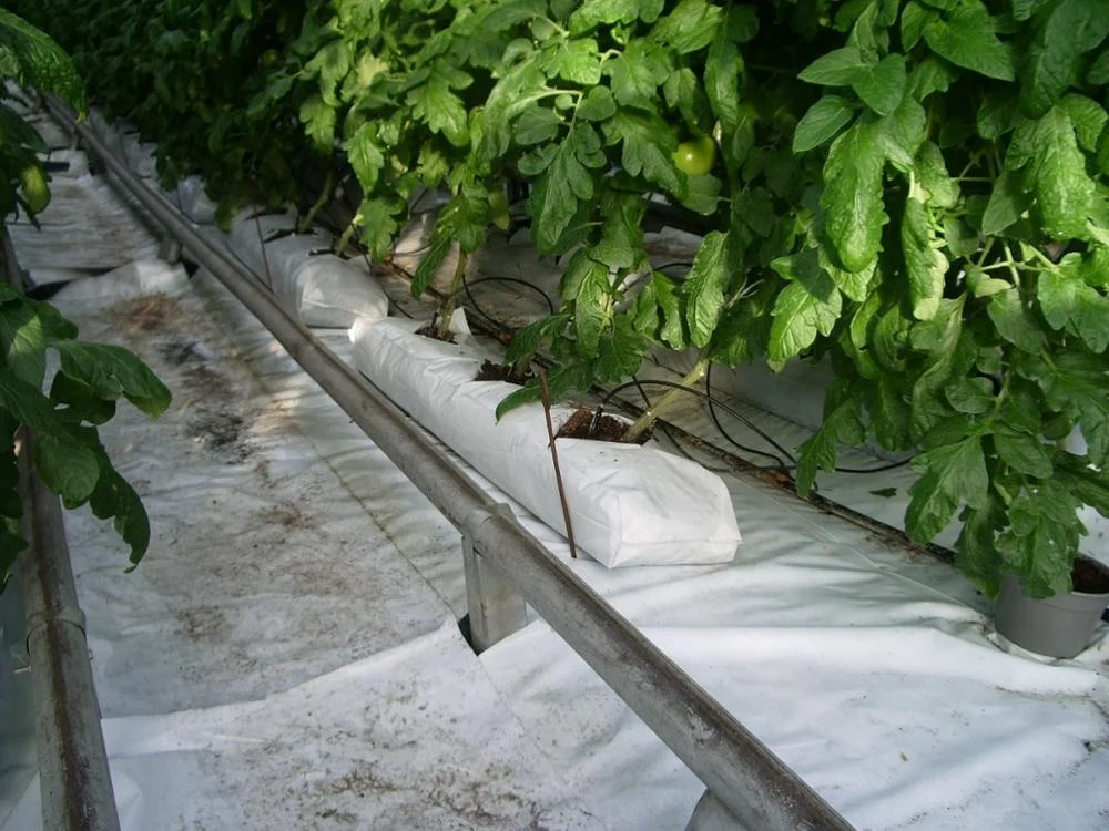 
Pressed peat moss slabs to grow plants in green houses 