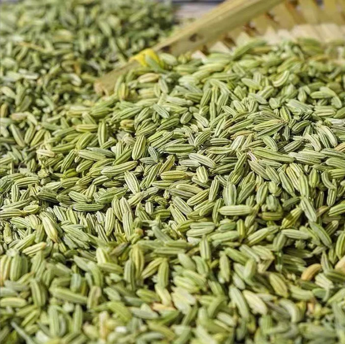 spicy spice Fennel  Supplier Wholesale badian High Quality Fennel Seeds
