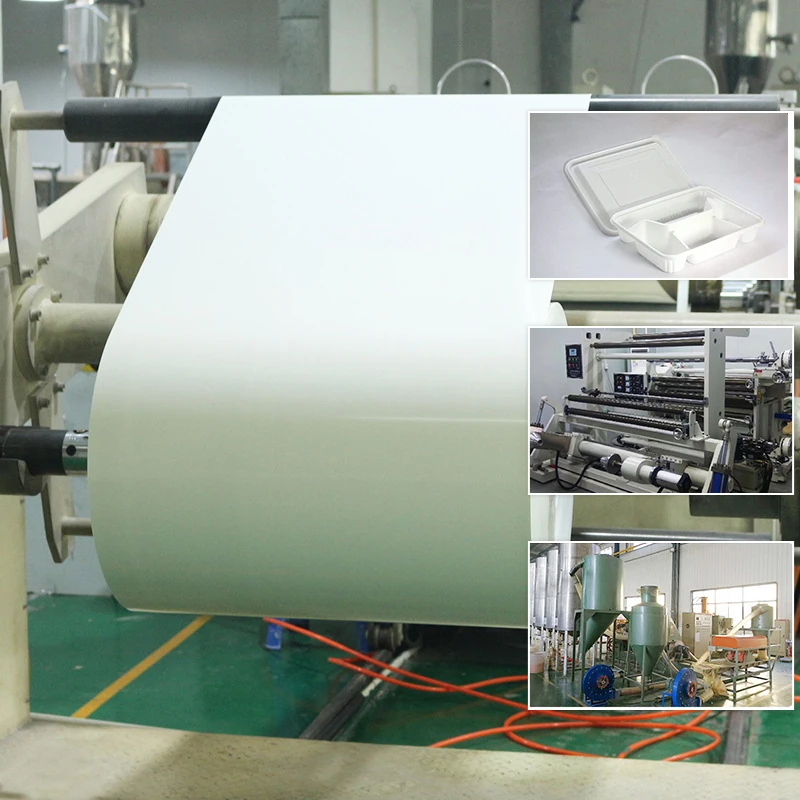 Compostable 100% Biodegradable Thermoforming Polylactic Acid Pla Material Sheet