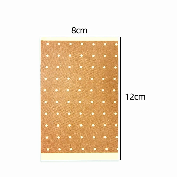 Capsicum Plaster (6)
