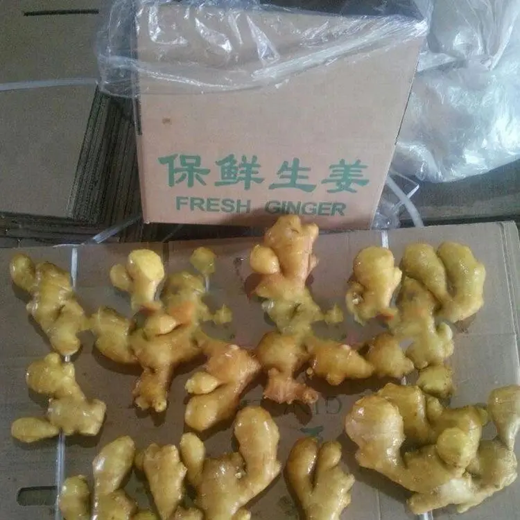 
Wholesale New Crop Ginger with Export Fresh Ginger 