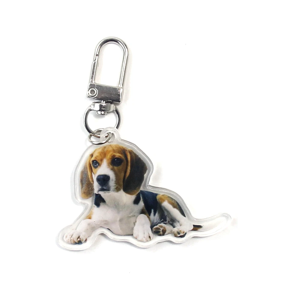 Eco-Friendly Acrylic Charm Anime Plastic Keychain Custom KeyChain Printed Key Chain Charms