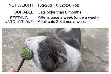 hot selling pet cat toy lollipop shape natural catnip cat interactive molar chew toy