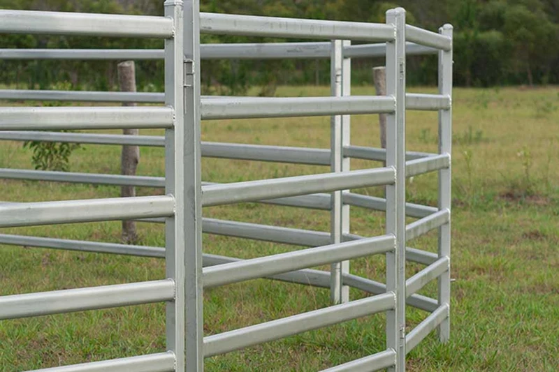 horse-panels.jpg
