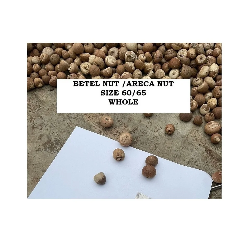 Premium Grade Of Betel Nut Supply Best Selling 100 % Natural Brown Color Dried Betel Nut Hot Sale With High Quality